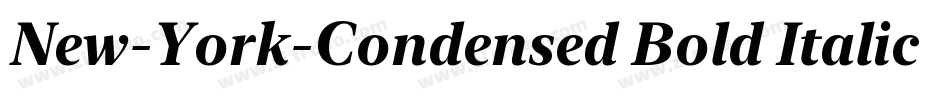 New-York-Condensed Bold Italic字体转换 New-York-Condensed Bold Italic字体转换